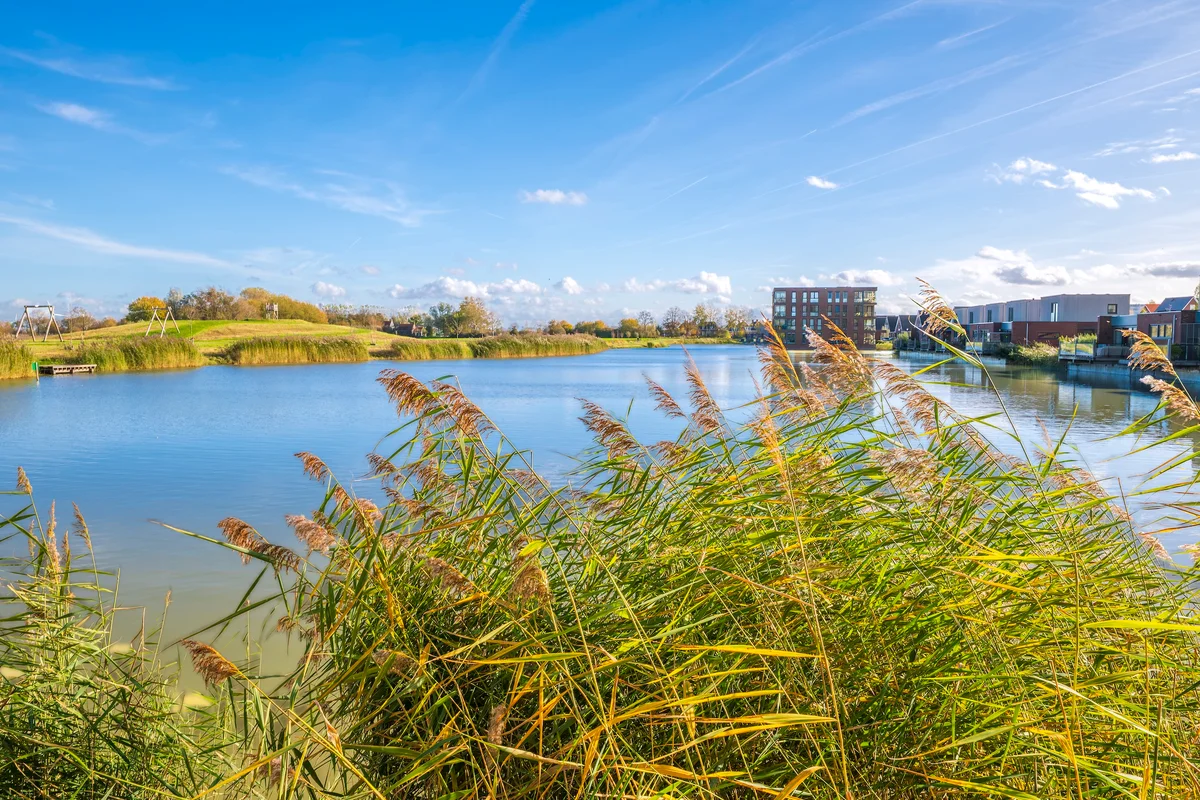 Gevarieerd en toekomstbestendig woningaanbod