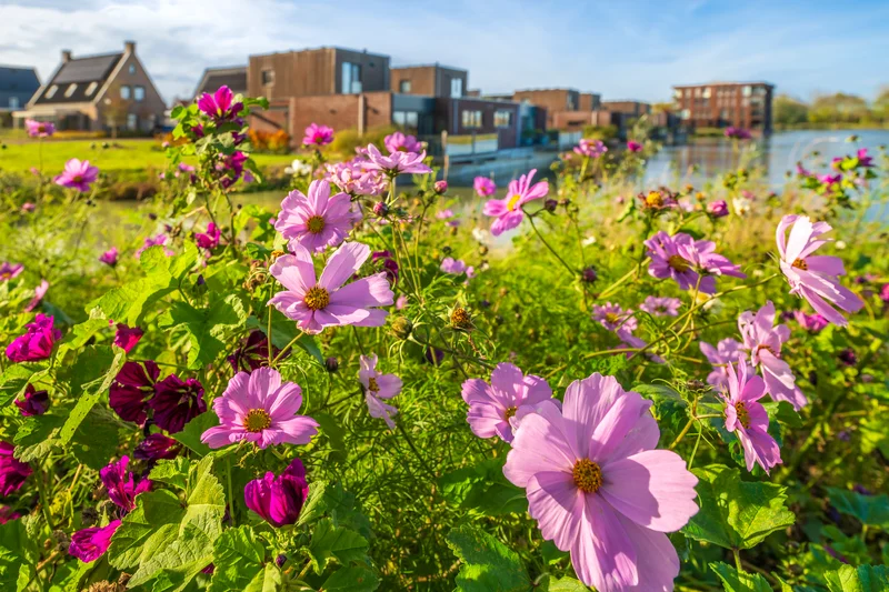 Duurzame en klimaatadaptieve wijk